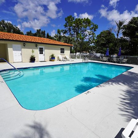 Florida Condos On Lake Tarpon Palm Harbor Extérieur photo