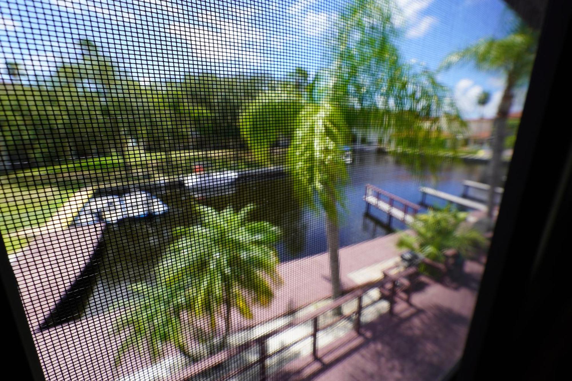 Florida Condos On Lake Tarpon Palm Harbor Extérieur photo